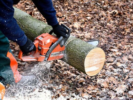 Homme qui coupe un tronc d'arbre avec une tronçonneuse